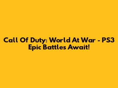 Call Of Duty: World At War - PS3 Epic Battles Await!