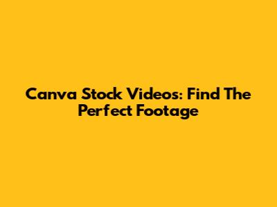 Canva Stock Videos: Find The Perfect Footage