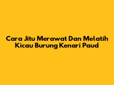 Cara Jitu Merawat Dan Melatih Kicau Burung Kenari Paud
