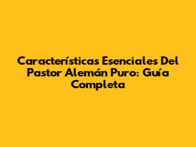 Características Esenciales Del Pastor Alemán Puro: Guía Completa