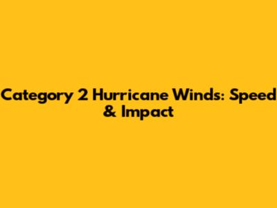 Category 2 Hurricane Winds: Speed & Impact