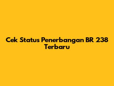 Cek Status Penerbangan BR 238 Terbaru