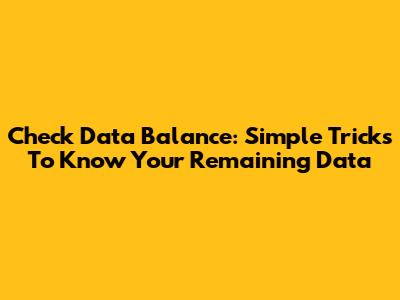 Check Data Balance: Simple Tricks To Know Your Remaining Data