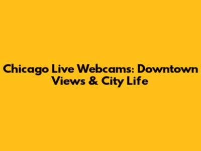 Chicago Live Webcams: Downtown Views & City Life