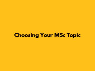 Choosing Your MSc Topic