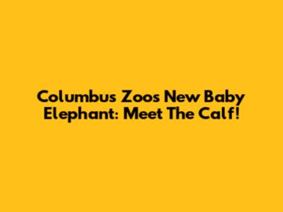 Columbus Zoo's New Baby Elephant: Meet The Calf!
