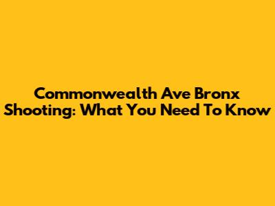 Commonwealth Ave Bronx Shooting: What You Need To Know