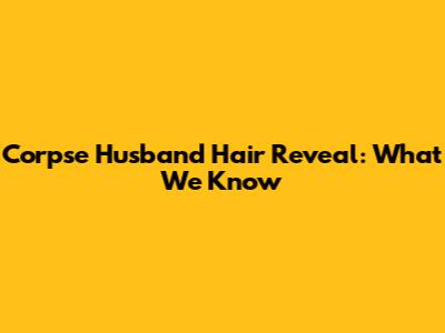 Corpse Husband Hair Reveal: What We Know
