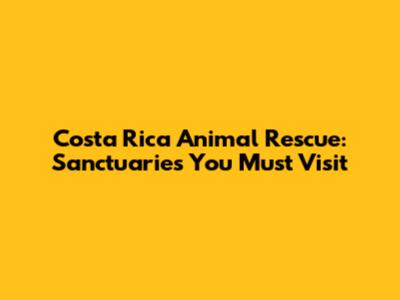 Costa Rica Animal Rescue: Sanctuaries You Must Visit