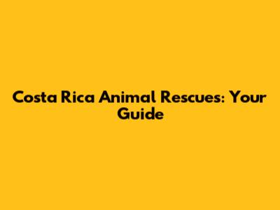 Costa Rica Animal Rescues: Your Guide