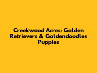 Creekwood Acres: Golden Retrievers & Goldendoodles Puppies