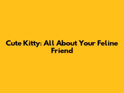 Cute Kitty: All About Your Feline Friend