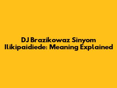 DJ Brazikowaz Sinyom Ilikipaidiede: Meaning Explained
