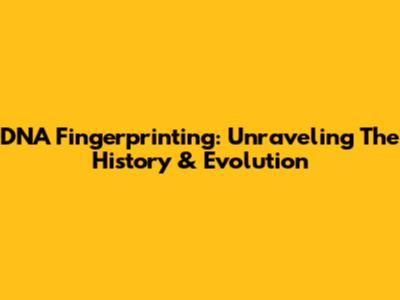DNA Fingerprinting: Unraveling The History & Evolution