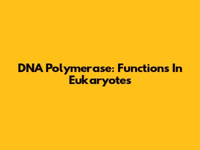 DNA Polymerase: Functions In Eukaryotes