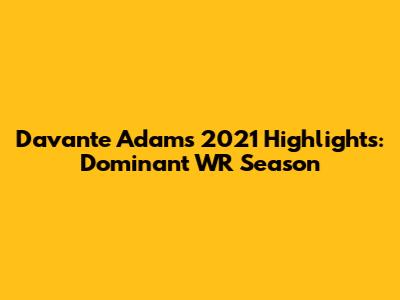 Davante Adams 2021 Highlights: Dominant WR Season