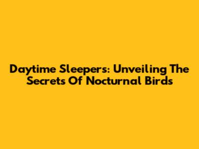 Daytime Sleepers: Unveiling The Secrets Of Nocturnal Birds