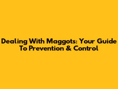 Dealing With Maggots: Your Guide To Prevention & Control