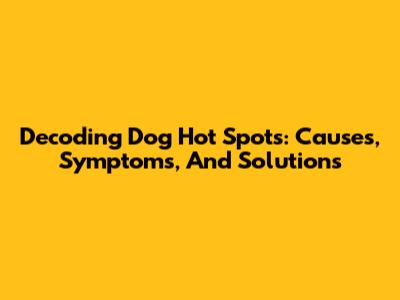 Decoding Dog Hot Spots: Causes, Symptoms, And Solutions