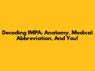 Decoding IMPA: Anatomy, Medical Abbreviation, And You!