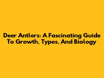 Deer Antlers: A Fascinating Guide To Growth, Types, And Biology