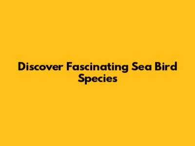 Discover Fascinating Sea Bird Species