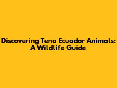 Discovering Tena Ecuador Animals: A Wildlife Guide