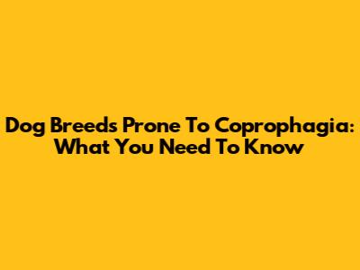 Dog Breeds Prone To Coprophagia: What You Need To Know
