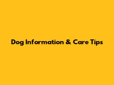 Dog Information & Care Tips