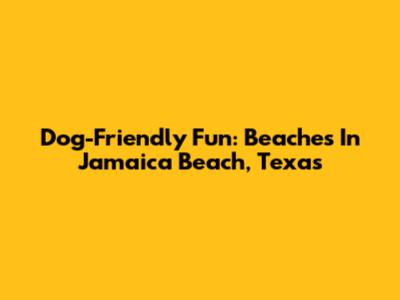 Dog-Friendly Fun: Beaches In Jamaica Beach, Texas