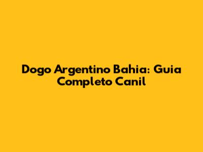 Dogo Argentino Bahia: Guia Completo Canil