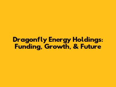 Dragonfly Energy Holdings: Funding, Growth, & Future