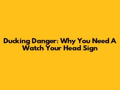 Ducking Danger: Why You Need A 'Watch Your Head' Sign