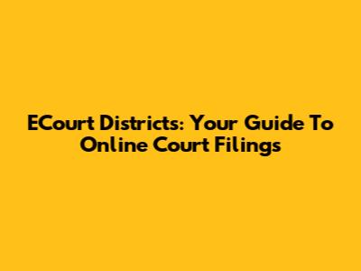 ECourt Districts: Your Guide To Online Court Filings