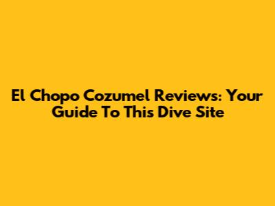 El Chopo Cozumel Reviews: Your Guide To This Dive Site