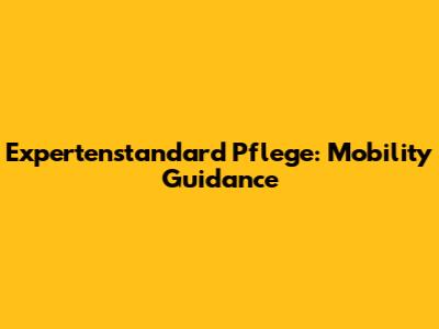 Expertenstandard Pflege: Mobility Guidance
