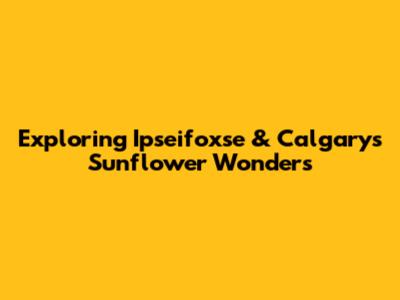Exploring Ipseifoxse & Calgary's Sunflower Wonders