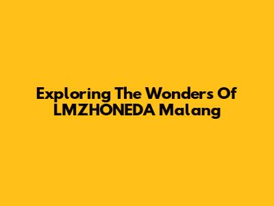 Exploring The Wonders Of LMZHONEDA Malang