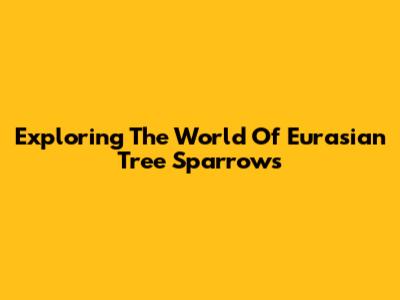 Exploring The World Of Eurasian Tree Sparrows