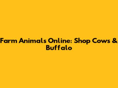 Farm Animals Online: Shop Cows & Buffalo