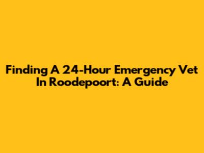 Finding A 24-Hour Emergency Vet In Roodepoort: A Guide