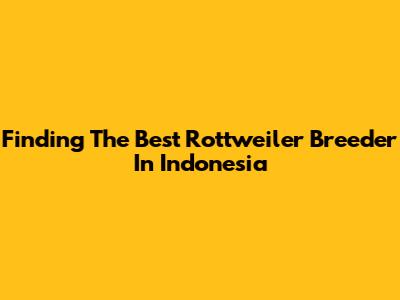 Finding The Best Rottweiler Breeder In Indonesia