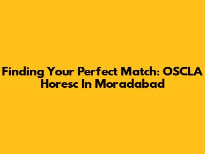 Finding Your Perfect Match: OSCLA Horesc In Moradabad