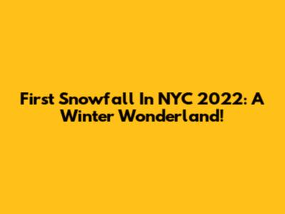 First Snowfall In NYC 2022: A Winter Wonderland!