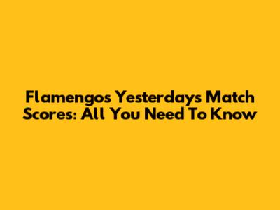 Flamengo's Yesterday's Match Scores: All You Need To Know