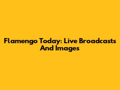 Flamengo Today: Live Broadcasts And Images