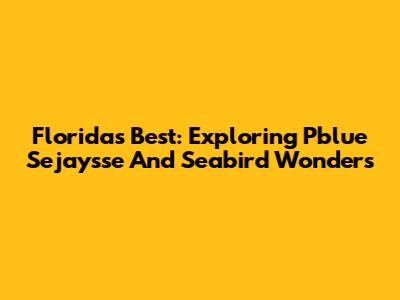 Florida's Best: Exploring Pblue Sejaysse And Seabird Wonders