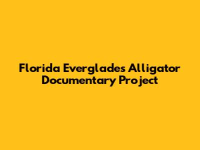 Florida Everglades Alligator Documentary Project