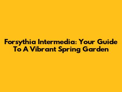 Forsythia Intermedia: Your Guide To A Vibrant Spring Garden