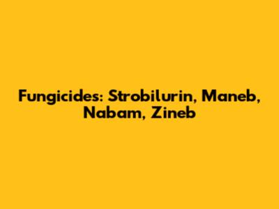 Fungicides: Strobilurin, Maneb, Nabam, Zineb